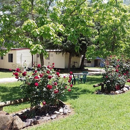 Khancoban Lakeside Caravan Park מראה חיצוני תמונה
